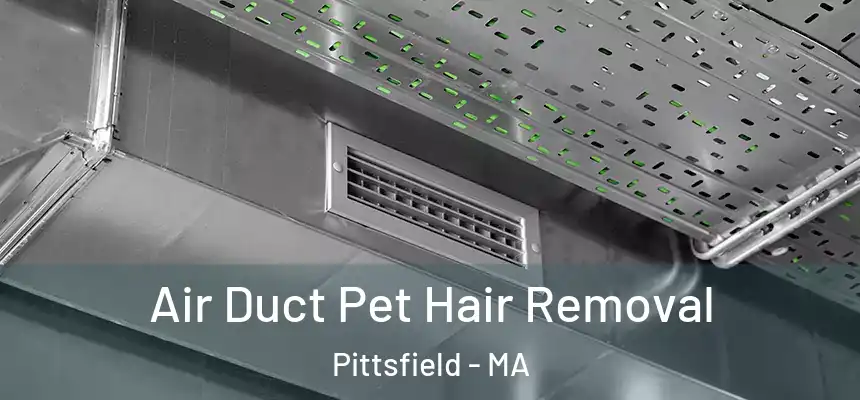  Air Duct Pet Hair Removal Pittsfield - MA