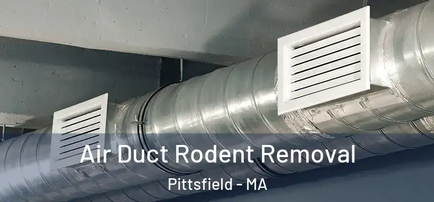  Air Duct Rodent Removal Pittsfield - MA