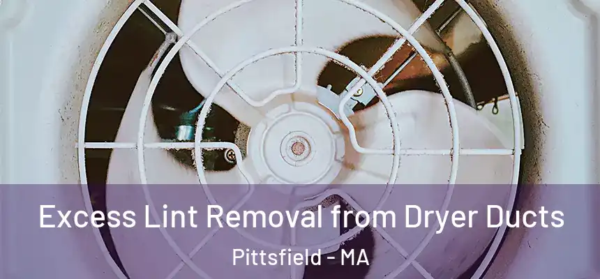  Excess Lint Removal from Dryer Ducts Pittsfield - MA