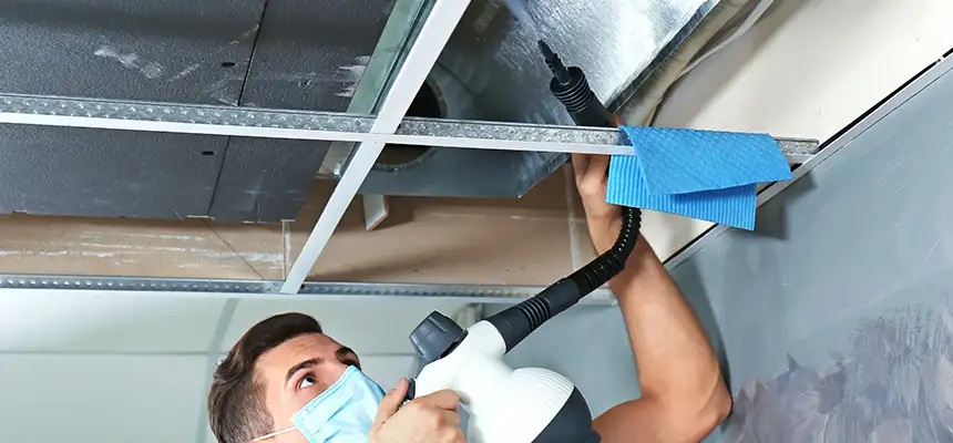 Our Air Duct Rodent Removal Services in Pittsfield, MA
