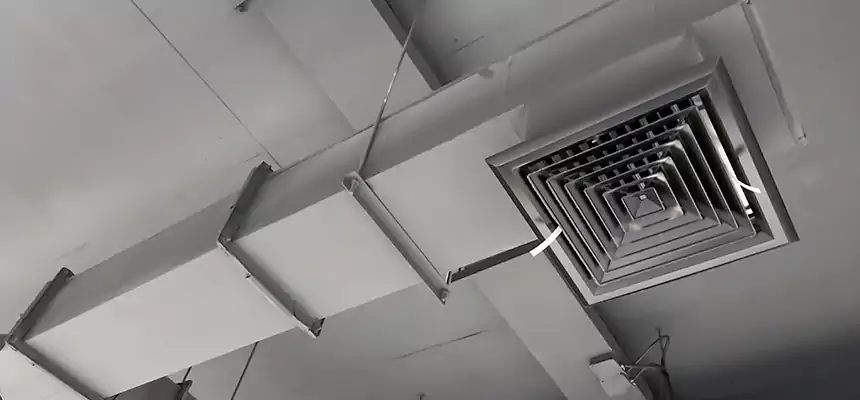 Our Rodent Droppings In Vents Services in Pittsfield, MA