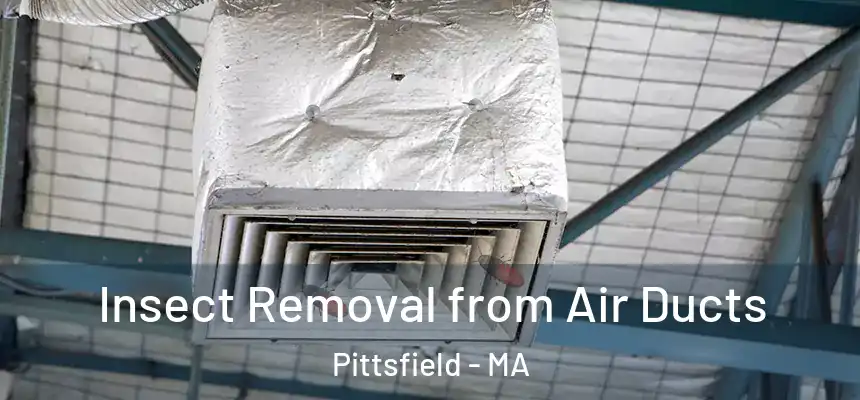 Insect Removal from Air Ducts Pittsfield - MA