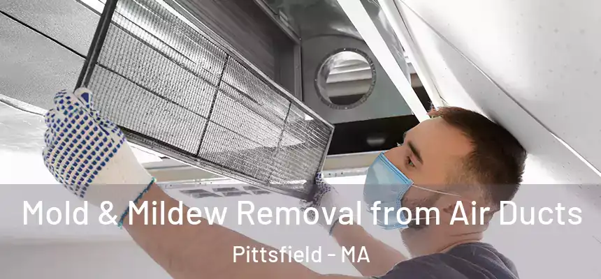  Mold & Mildew Removal from Air Ducts Pittsfield - MA