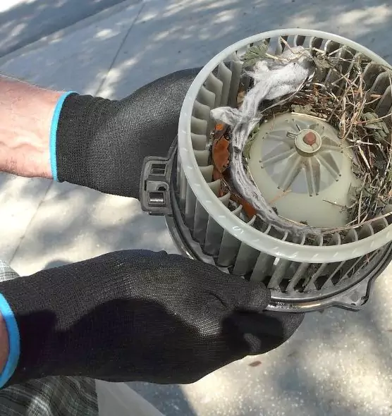 About Air Duct Mice Removal in Pittsfield, MA