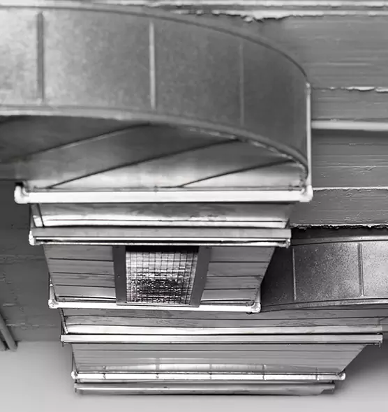 Professional Air Duct Pest Removal in Pittsfield, MA