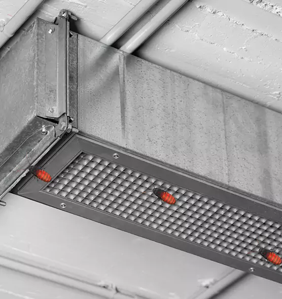 Affordable Insect Removal from Air Ducts in Pittsfield, MA