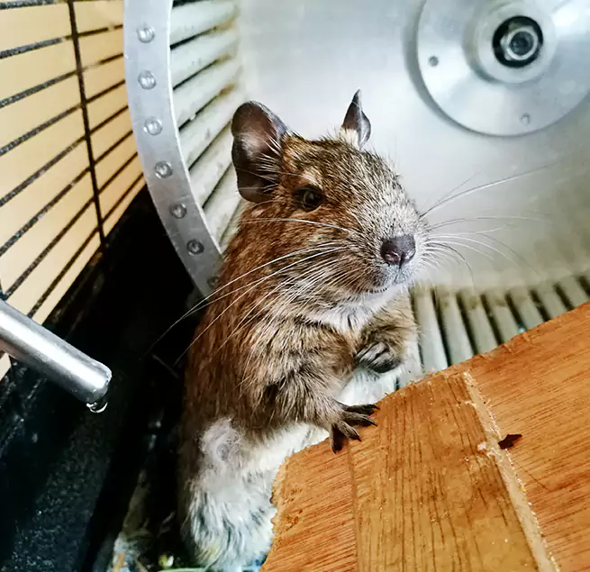 Why Homeowners & Businesses Trust Us Pittsfield, MA