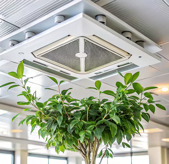 Why Homeowners & Businesses Trust Us in Pittsfield, MA?